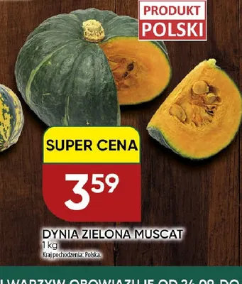 Dynia zielona Muscat promocja w Chata Polska