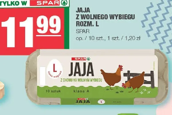 Jaja z wolnego wybiegu rozm. L promocja w SPAR
