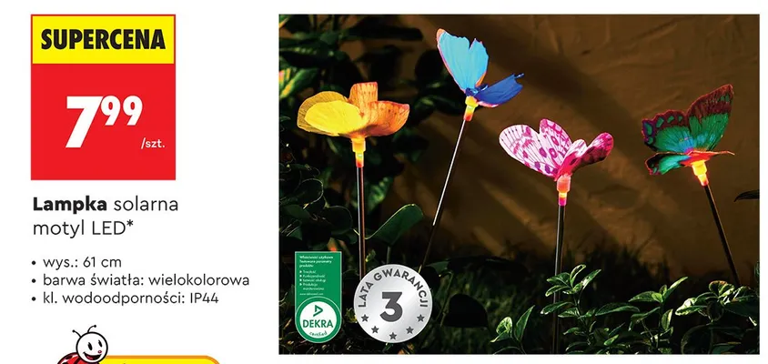 Lampka solarna motyl LED promocja w Biedronka