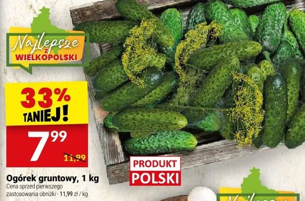Ogórek gruntowy promocja w Twój Market