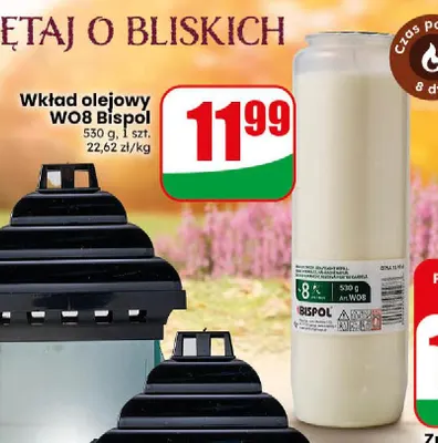 Wkład olejowy WO8 Bispol promocja w Dino