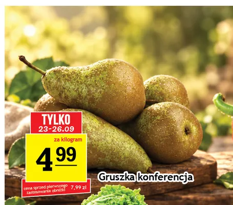 Gruszki konferencja promocja w Gram Market