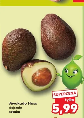 Awokado Hass dojrzałe promocja w Kaufland