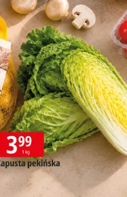 Kapusta pekińska promocja w Leclerc