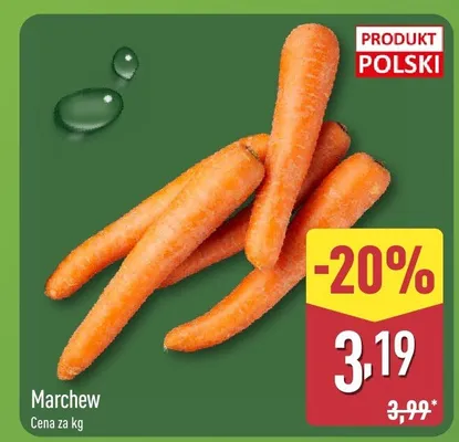 Marchew promocja w Aldi