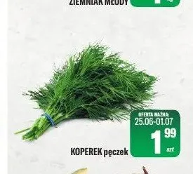 Koperek pęczek promocja w Tomi Markt