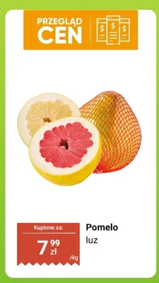 Pomelo luz promocja w Dino