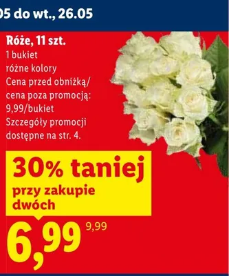 Róże promocja w Lidl
