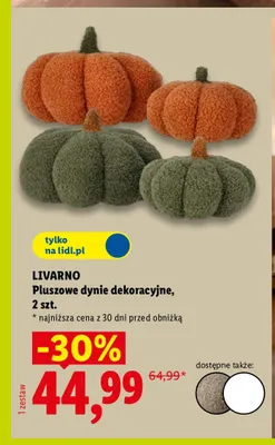 Pluszowe dynie dekoracyjne Livarno 2-pak promocja w Lidl