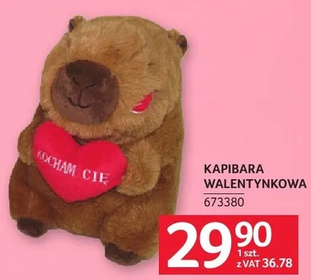Kapibara walentynkowa promocja w Selgros
