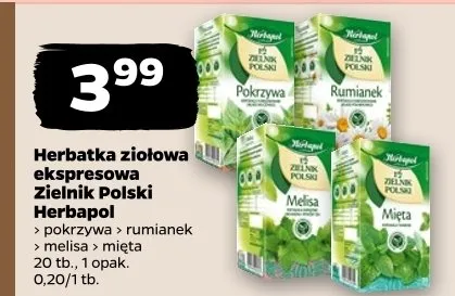 Herbatka ziołowa ekspresowa Zielnik Polski Herbapol pokrzywa rumianek melisa mięta promocja w Netto