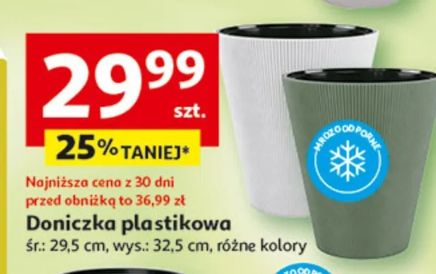Doniczka plastikowa promocja w Auchan