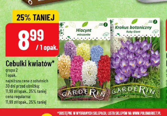 Cebulki kwiatów Garderin Hiacynt mieszanka promocja w POLOmarket