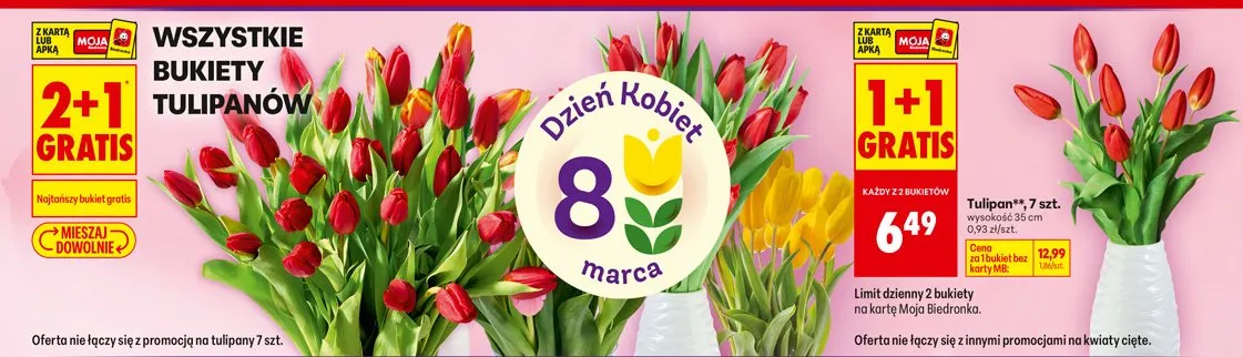 Tulipan promocja w Biedronka