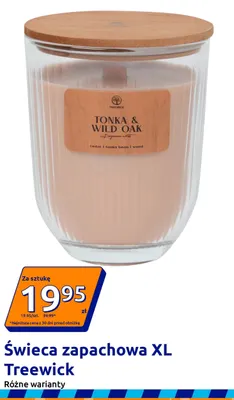 Świeca zapachowa XL Treewick promocja w Action