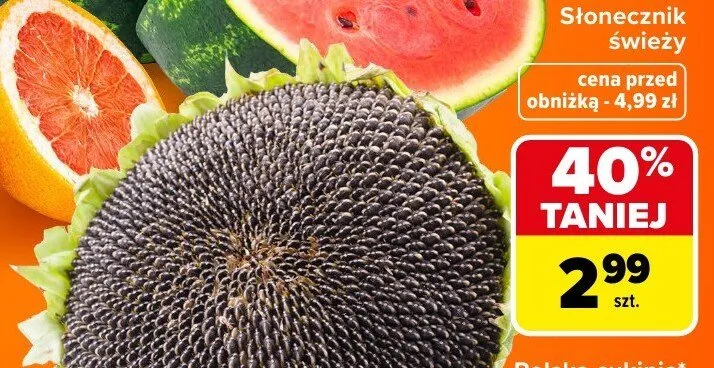 Słonecznik świeży promocja w Carrefour Market