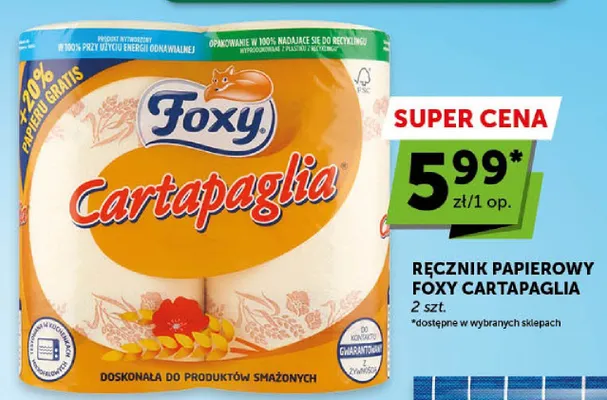 Ręcznik papierowy Foxy Cartapaglia 2-pak promocja w Euro Sklep