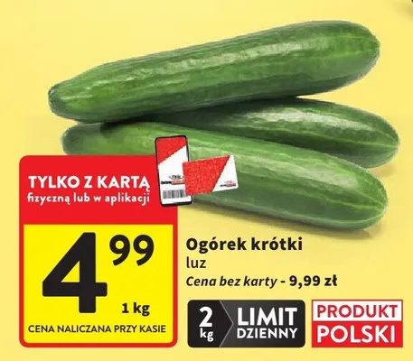 Ogórek krótki luz promocja w Intermarche