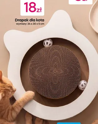 Drapak dla kota promocja w Pepco