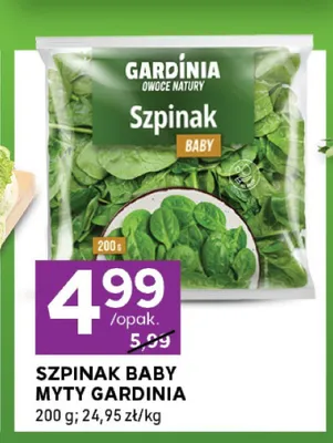 Szpinak baby myty Gardinia promocja w Stokrotka