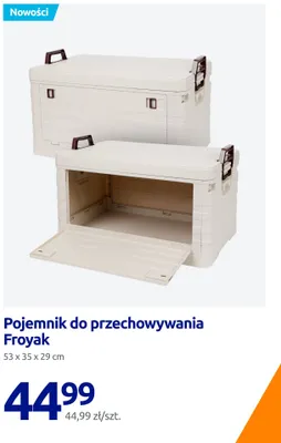 Pojemnik do przechowywania Froyak 53x35x29cm promocja w Action