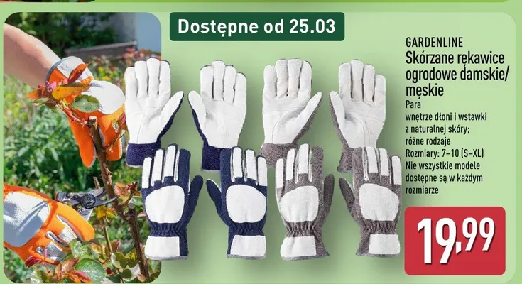 Skórzane rękawice ogrodowe damskie/męskie promocja w Aldi
