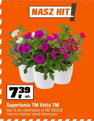 Supertunia TM Vista TM don. 10,5cm, różne kolory promocja w OBI