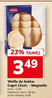 Wafle do lodów Koral Magnolia promocja w Hitpol