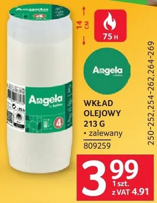 Wkład olejowy Angelo 213 G promocja w Selgros
