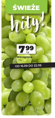 Winogrona promocja w Odido