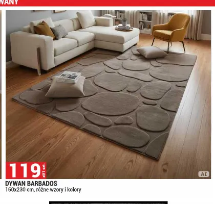Dywan Barbados 160x230 cm promocja w Merkury Market