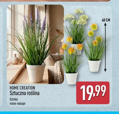Sztuczna roślina Home Creation promocja w Aldi