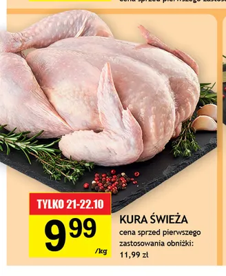Kura świeża promocja w Gram Market