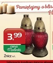 Znicz promocja w MALINKA