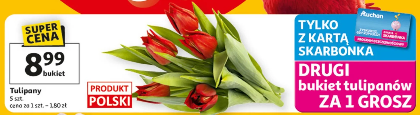 Tulipany 5 szt. promocja w Auchan