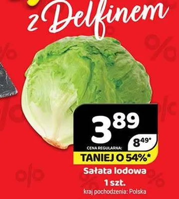 Sałata lodowa promocja w Delfin