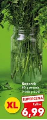 Koperek w pęczku promocja w Kaufland