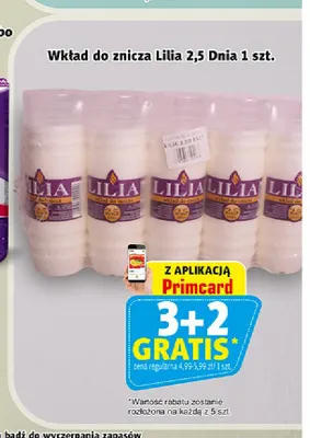 Wkład do znicza Lilia 2,5 Dnia promocja w Prim Market