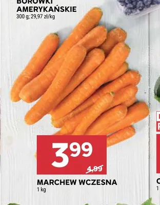 Marchew wczesna promocja w Stokrotka