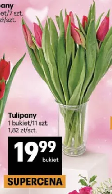 Tulipany promocja w Delikatesy Centrum