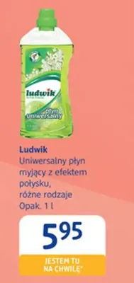 Uniwersalny płyn myjący z efektem połysku Ludwik promocja w Drogerie DM