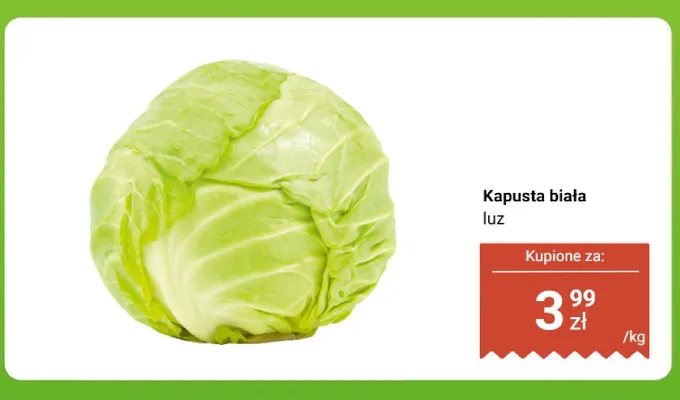 Kapusta biała luz promocja w Biedronka