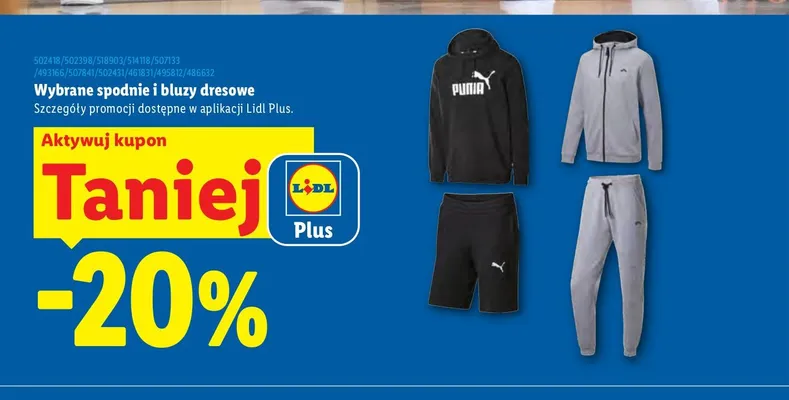 Bluza dresowa męska promocja w Lidl