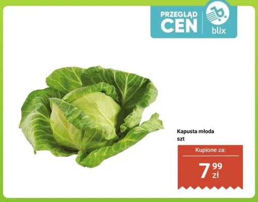Kapusta młoda promocja w Dino