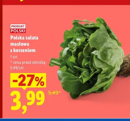 Polska sałata masłowa z korzeniem promocja w Lidl