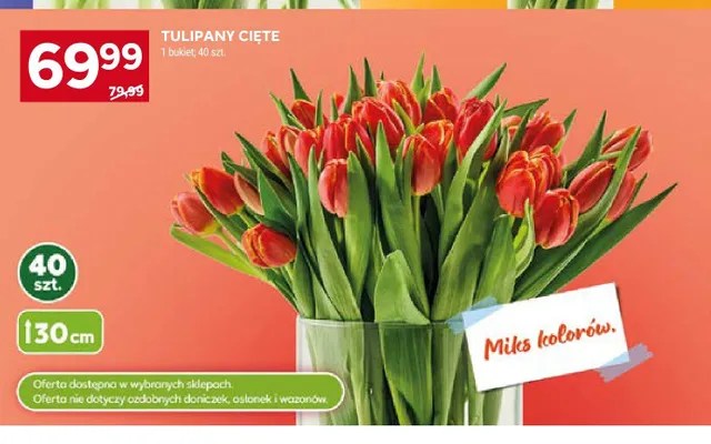 Tulipany cięte 30cm promocja w Stokrotka