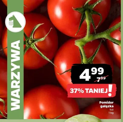 Pomidor gałązka luz promocja w Netto