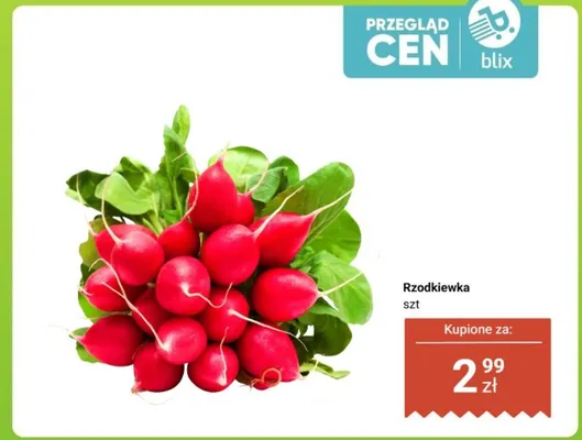 Rzodkiewka promocja w Dino