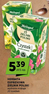 Herbata ekspresowa zielnik polski czystek promocja w ABC