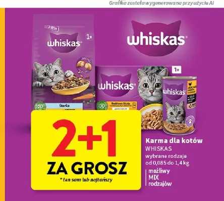 Karma dla kota z kurczakiem Whiskas promocja w Intermarche